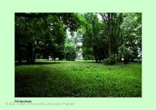 Stanowisko ślimaka winniczka w woj. wielkopolskim - PARZĘCZEWO