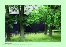 Stanowisko ślimaka winniczka w woj. wielkopolskim - PARZĘCZEWO