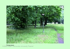 Stanowisko ślimaka winniczka w woj. wielkopolskim - PARZĘCZEWO