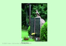 Stanowisko ślimaka winniczka w woj. wielkopolskim - PARZĘCZEWO