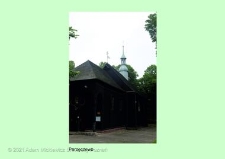 Stanowisko ślimaka winniczka w woj. wielkopolskim - PARZĘCZEWO