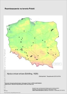 Rozmieszczenie w Polsce Nysius ericae ericae (Schilling, 1829)