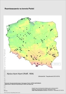 Rozmieszczenie w Polsce Nysius thymi thymi (Wolff, 1804)