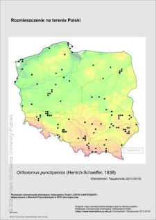 Rozmieszczenie w Polsce Ortholomus punctipennis (Herrich-Schaeffer, 1838)