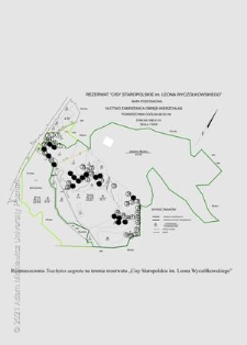 Rozmieszczenie Trachytes aegrota na terenie rezerwatu "Cisy Staropolskie im. Leona Wycz&oacute;łkowskiego"