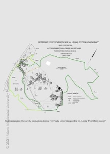 Rozmieszczenie Discourella modesta na terenie rezerwatu "Cisy Staropolskie im. Leona Wycz&oacute;łkowskiego"