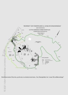 Rozmieszczenie Dinychus perforatus na terenie rezerwatu "Cisy Staropolskie im. Leona Wycz&oacute;łkowskiego"