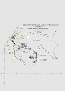 Rozmieszczenie Uroobovella obovata na terenie rezerwatu "Cisy Staropolskie im. Leona Wycz&oacute;łkowskiego"