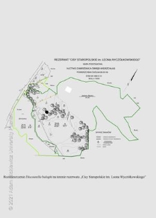 Rozmieszczenie Discourella baloghi na terenie rezerwatu "Cisy Staropolskie im. Leona Wycz&oacute;łkowskiego"