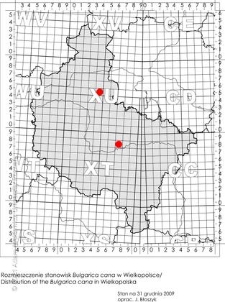 Rozmieszczenie stanowisk Bulgarica cana w Wielkopolsce/ Distribution of the Bulgarica cana in Wielkopolska