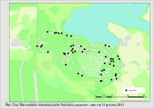 Rozmieszczenie Trachytes pauperior na terenie rezerwatu "Cisy Staropolskie"