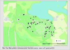 Rozmieszczenie Trachytes lamda na terenie rezerwatu "Cisy Staropolskie"