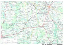 Stanowiska ślimaka winniczka w powiecie mogileńskim w 2017 roku