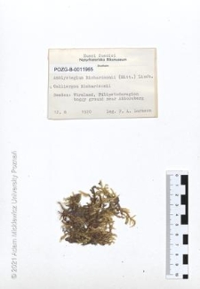 Brak tytułu