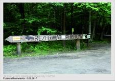 Wyjazd do Puszczy Białowieskiej czerwiec 2017