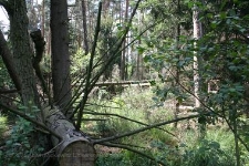 Rezerwat Baszk&oacute;w